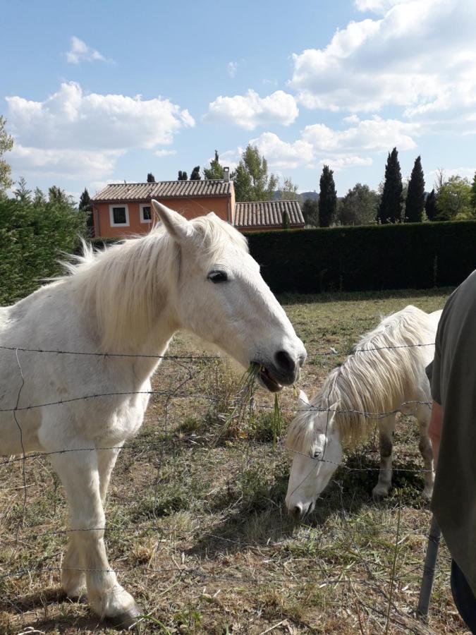 Le Mas Josephine Saint-Rémy-de-Provence Kültér fotó