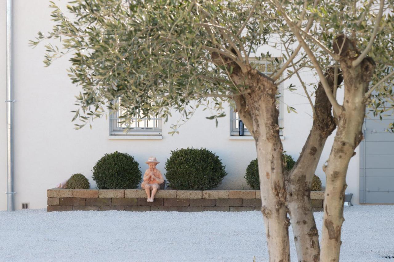 Le Mas Josephine Saint-Rémy-de-Provence Kültér fotó